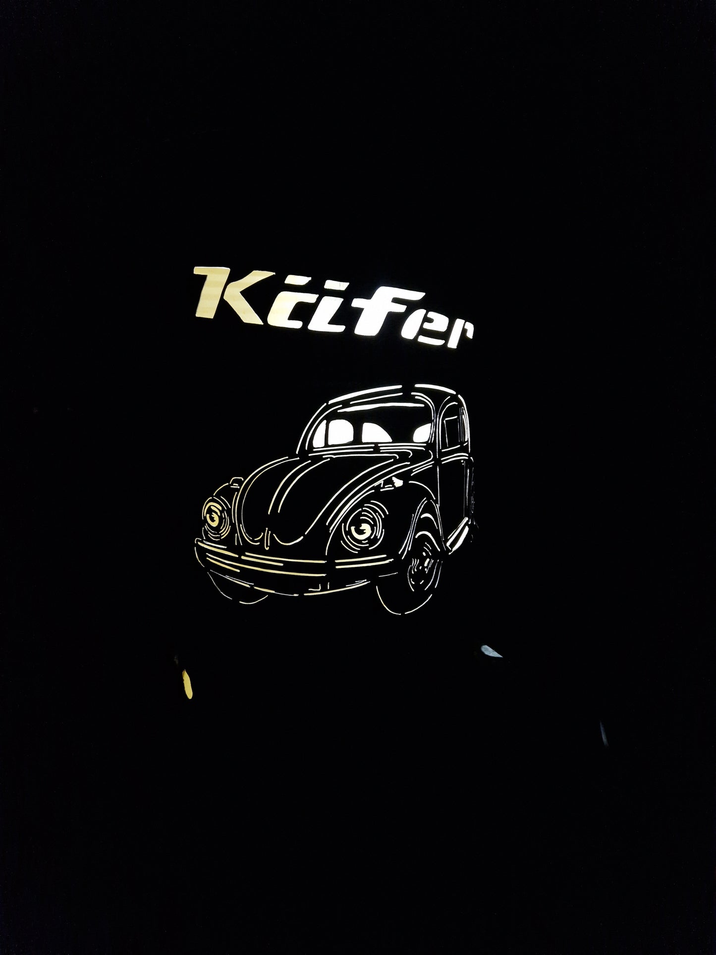 Feuertonne Käfer