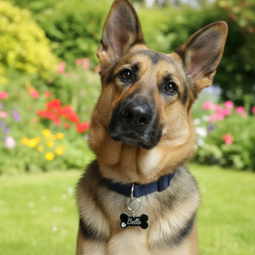 Hundemarke Edelstahl